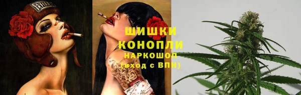 spice Медногорск