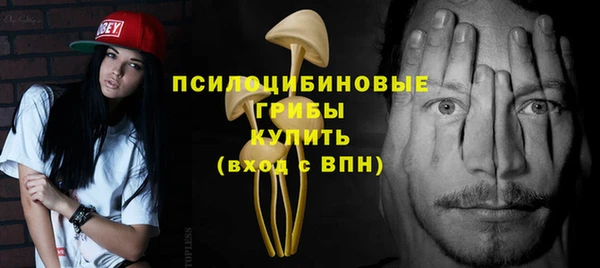 spice Медногорск