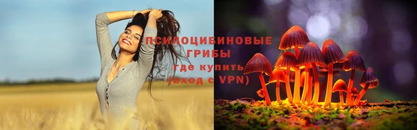 молекула духа Медвежьегорск