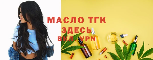 молекула духа Медвежьегорск