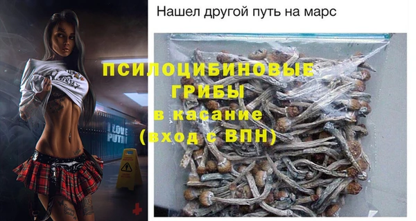 молекула духа Медвежьегорск