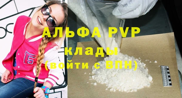 молекула духа Медвежьегорск