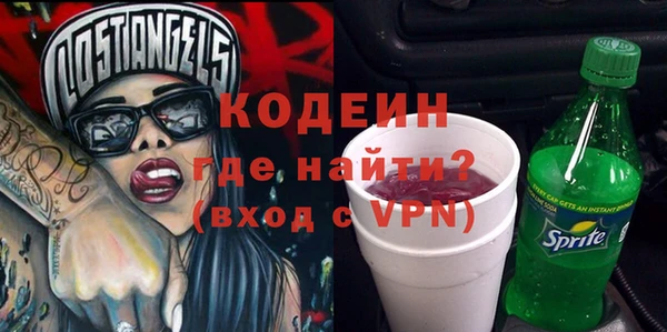 молекула духа Медвежьегорск