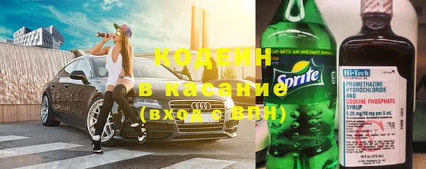 молекула духа Медвежьегорск
